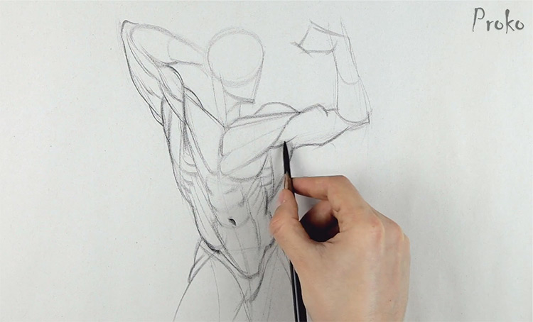 proko figure drawing review